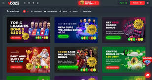 Как вывести средства через Neteller Пошаговая инструкция